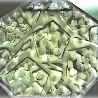 Violette-Menthe - Jean-Charles Brosseau