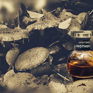 Mal ein wenig den Fotospeicher ausräumen. Ganz lieben Dank 🙏🤗