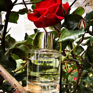 Rose Alcane - Æther