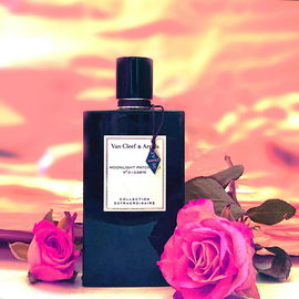 Moonlight Patchouli - Van Cleef & Arpels