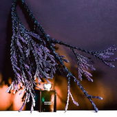 Foto zum Amber-Statement (by Camey5000)