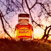 War eine genz eigenartige Stimmung an dem Abend (von Gandix)