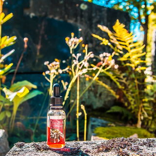 Death & Decay (Perfume) - Lush