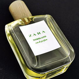 Potion (Eau de Parfum) - Dsquared²