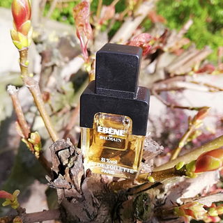Ébène de Balmain (1983) (Eau de Toilette) - Balmain