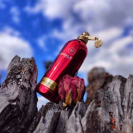 Aoud Shiny - Montale