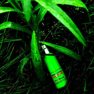 Series 1: Leaves - Calamus - Comme des Garçons