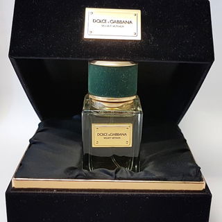 Velvet Vetiver - Dolce & Gabbana