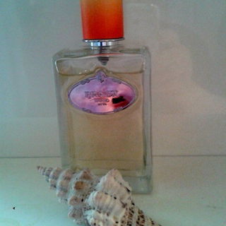 Infusion de Fleur d'Oranger von Prada