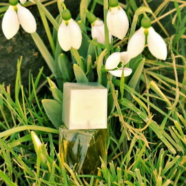 Der Frühling klopft an