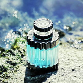 Quasar (Eau de Toilette) - Jesus del Pozo