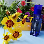 Colors - Für Fresh21 (by Pluto)