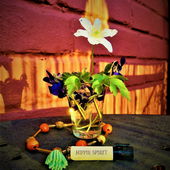 Feuer der Vergangenheit (by Floyd)