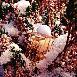 Armani (Eau Parfumée) - Giorgio Armani