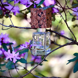 Baraonda (Extrait de Parfum)