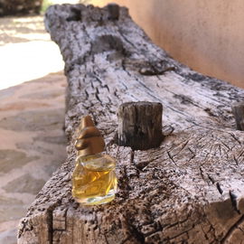 Sônia Bogner - Now (Eau de Parfum) - Bogner