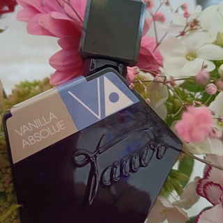 Vanilla Absolue - Tauer Perfumes