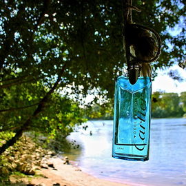 Déclaration L'Eau - Cartier