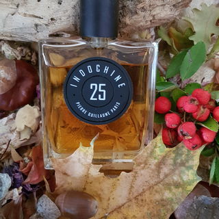 25 Indochine by Pierre Guillaume