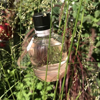 Bottega Veneta Eau Sensuelle von Bottega Veneta