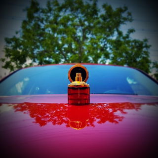 Flamenco (Eau de Parfum) von Ramón Monegal