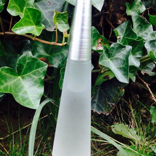 L'Eau d'Issey (Eau de Toilette) von Issey Miyake