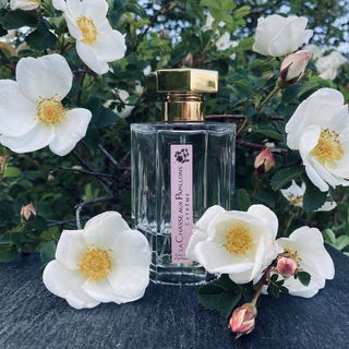 La Chasse aux Papillons Extrême von L'Artisan Parfumeur