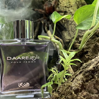 Daarej pour Homme von Rasasi / الرصاصي