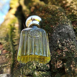 Giorgio for Men (Eau de Toilette) - Giorgio Beverly Hills