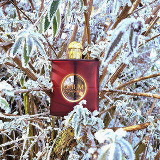 Opium (2009) (Eau de Parfum) - Yves Saint Laurent