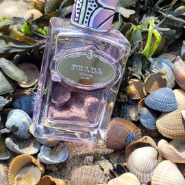 Infusion de Tubéreuse - Prada