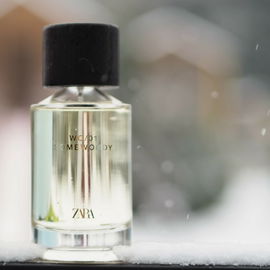 Magnificent Black - Zara