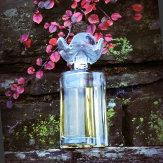 ****** d'Oscar (Eau de Toilette) - Oscar de la Renta