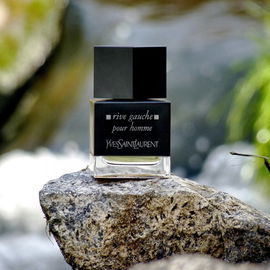 Rive Gauche pour Homme (2011) - Yves Saint Laurent