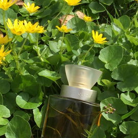 Individuelle (Eau de Toilette) - Charles Jourdan