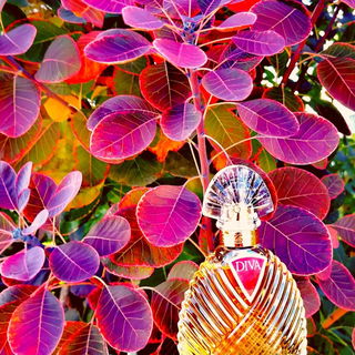 Die Diva lässt alles um sich herum erstrahlen.