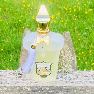 Dama Bianca (Eau de Parfum) by Casamorati