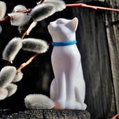 ich bin ein Kätzchen und Du? (by Zora)