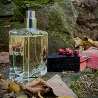 Sirenide von Beaufort