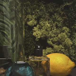 Fantôme de Maules von Stora Skuggan