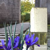 Beton vom Feinsten ;-) (von BeJot)