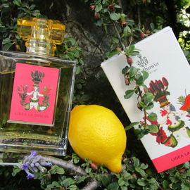 Ligea La Sirena (Eau de Parfum) - Carthusia