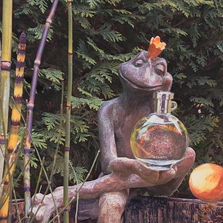 Er hat seine goldene Kugel eingetauscht ......... 🐸🟡👑