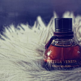 Bottega Veneta Eau de Velours - Bottega Veneta