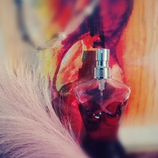 Classique (2017) (Eau de Parfum) - Jean Paul Gaultier