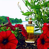 Blumeninsel Mainau (by MadameLegras)