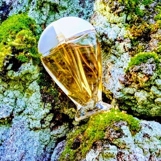 Mooskleeblatt mit Duftzentrum