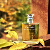 ….. rostgoldener Herbst ….. :) (by IrisNobile)