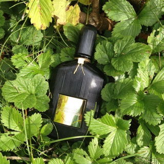 Black Orchid (Eau de Parfum) von Tom Ford