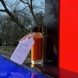 Heirloom Oak - Gather Perfume